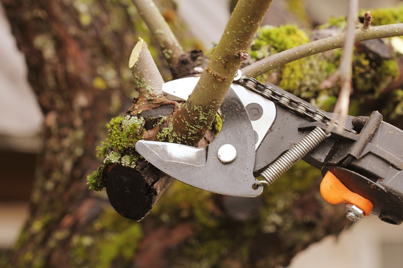 potatura-giardini-comunali