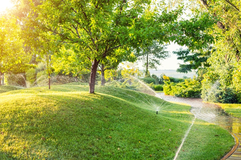 servizio-di-giardinaggio